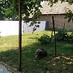 Dancz * Dég