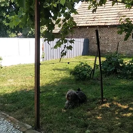 Dancz * Dég